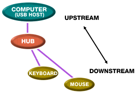 USB network. Picture courtesy Apple